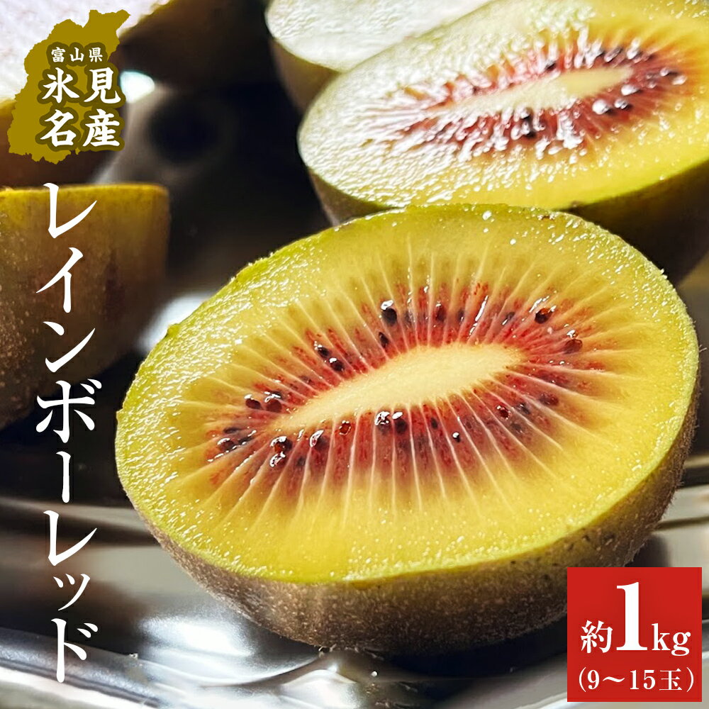 氷見産キウイ（レインボーレッド）1kg以上（9～15玉） | 数量限定 希少 富山 氷見 レインボーレッドキウイ 国産 キウイフルーツ ギフト 甘い