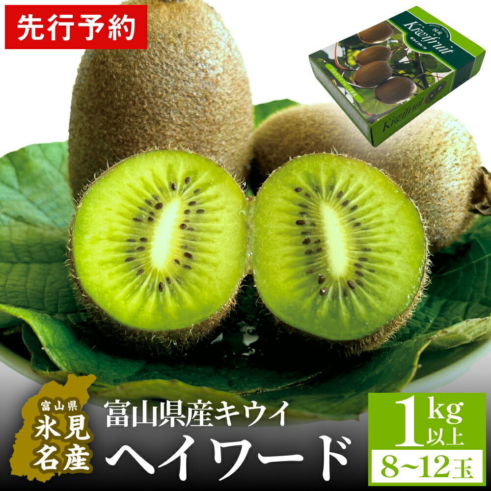 ＜先行予約＞ 富山県産キウイ（ヘイワード）1kg以上（8～12玉） ＜2025年12月中旬以降順次発送＞ | 国産 数量限定 グリーンキウイ 富山 氷見 果物 フルーツ キウイ