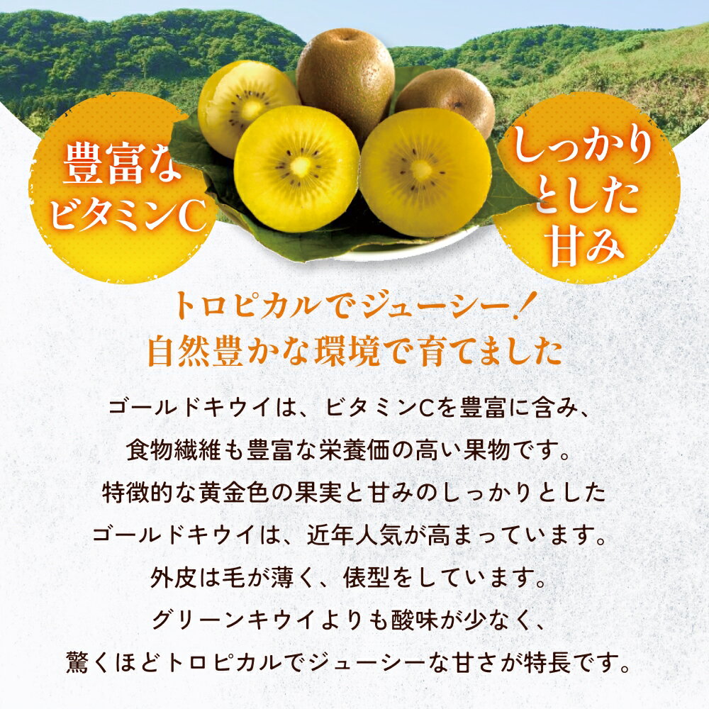 【ふるさと納税】 富山県産 ゴールドキウイ 1kg以上（8～12玉） サムネイル2