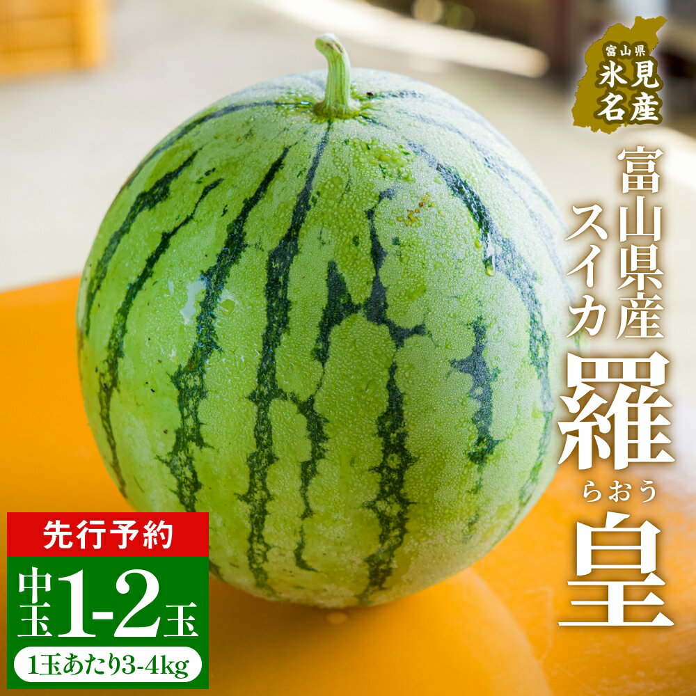 【先行予約】富山県産スイカ 羅皇 中玉 1-2玉 （3-4kg/玉） 【2026年8月以降順次発送】 スイカ 夏 果物 フルーツ 先行受付 令和8年 富山県 氷見市