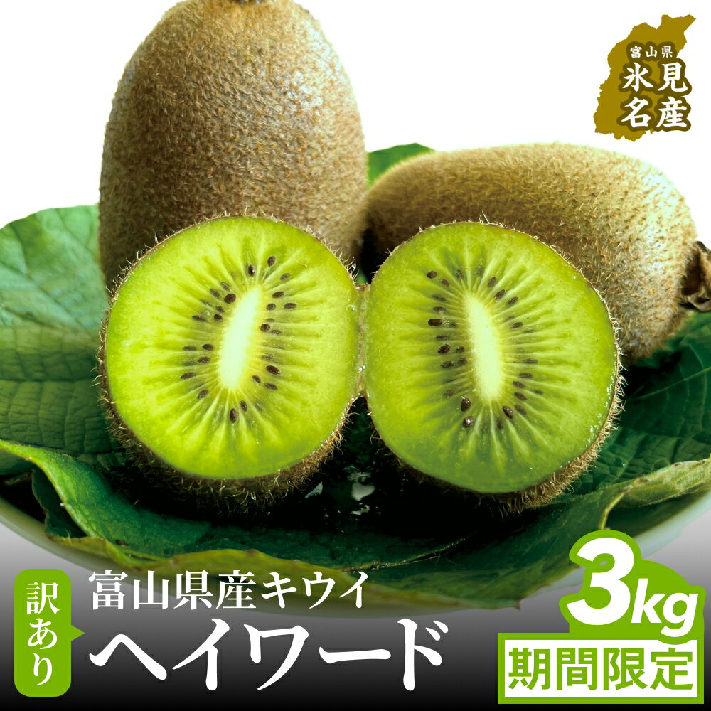 ＜先行予約＞ 訳ありヘイワード3kg（小玉、異形、擦り傷、日焼け）＜2025年12月中旬以降順次発送＞ 数量限定 希少 国産 甘い 氷見キウイランド 富山県 氷見市