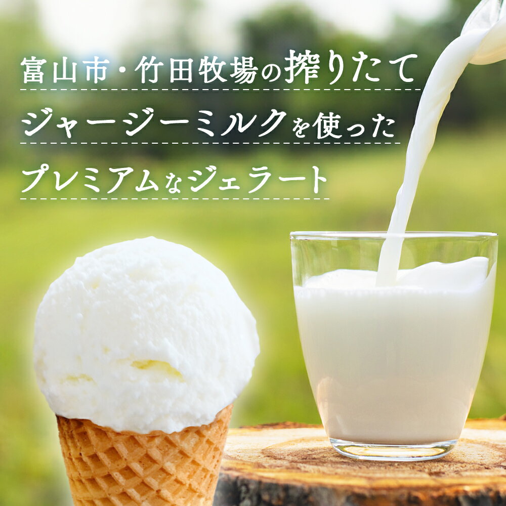 【ふるさと納税】【訳あり】 プレミアムジェラート ジャージーミルク 1L | 業務用 簡易包装 - 画像2