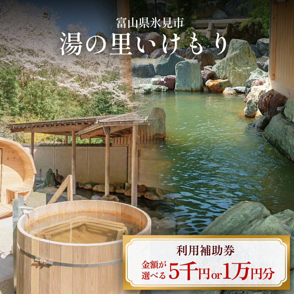 富山県氷見市 湯の里いけもり　利用補助券5,000円分（温泉・宿泊・サウナ・食事） 富山県 氷見市 旅行 観光 宿泊券 宿泊 宿泊券 食事券 クーポン チケット 海鮮