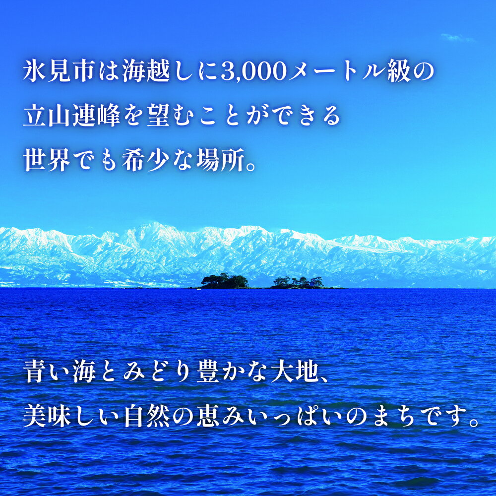 【ふるさと納税】 富山県氷見市の対象施設で使える　楽天トラベルクーポン　寄付額10,000円(クーポン3,000円) |　氷見 富山 宿泊 温泉 ホテル 民宿 サムネイル2