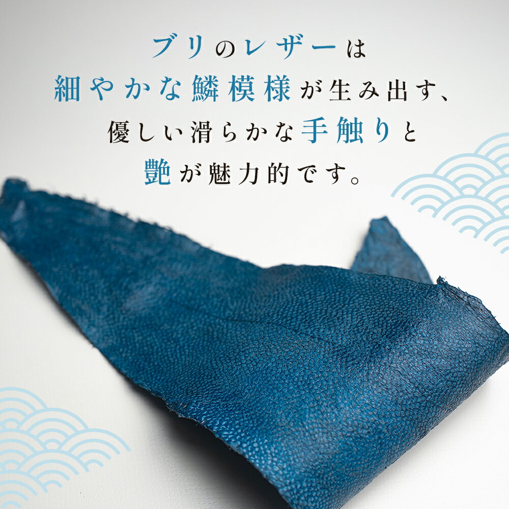 【ふるさと納税】Card Case［buri］ 革 カードケース 名刺入れ 富山県 氷見市 フィッシュレザー 魚 サムネイル2