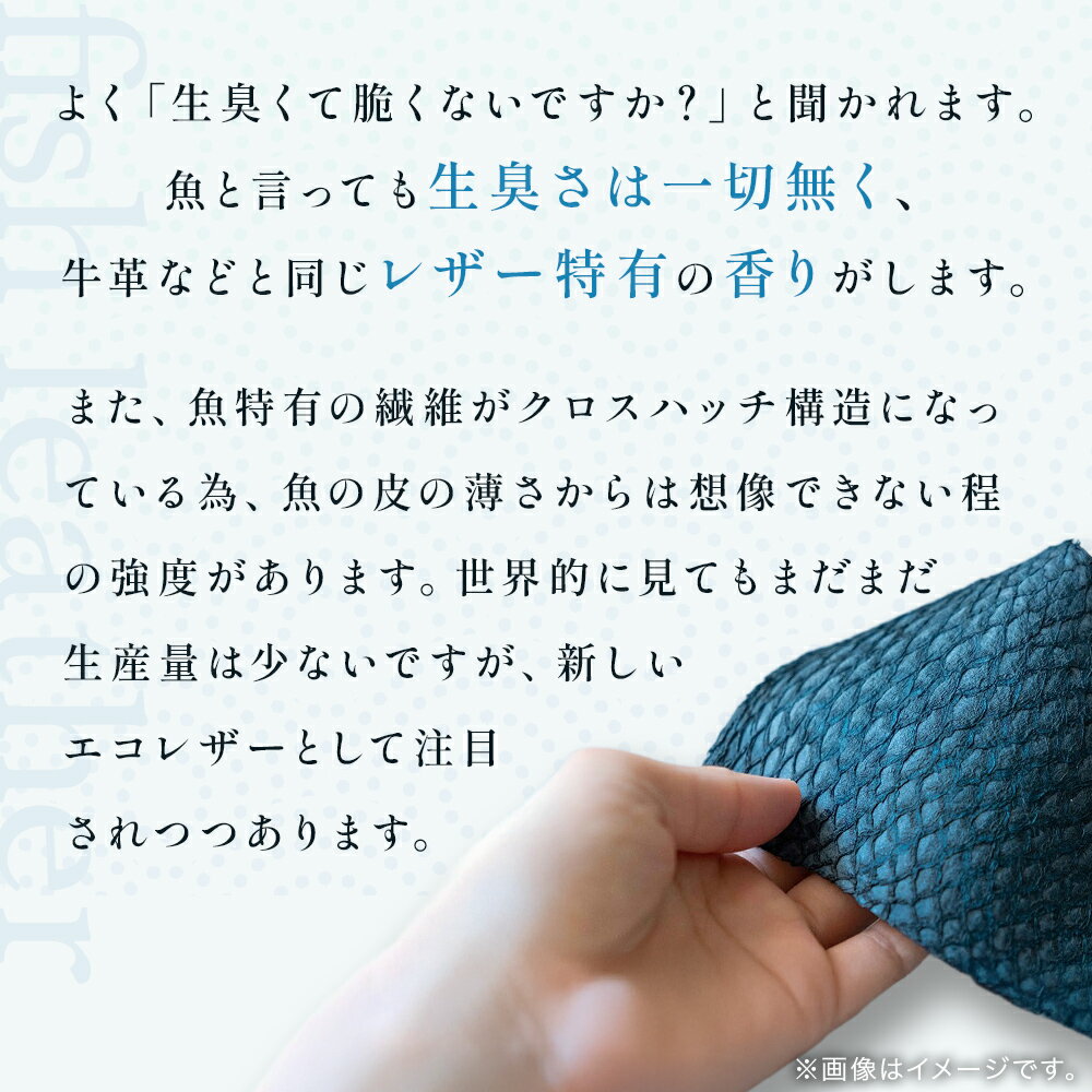 【ふるさと納税】Card Case［buri］ 革 カードケース 名刺入れ 富山県 氷見市 フィッシュレザー 魚 サムネイル3