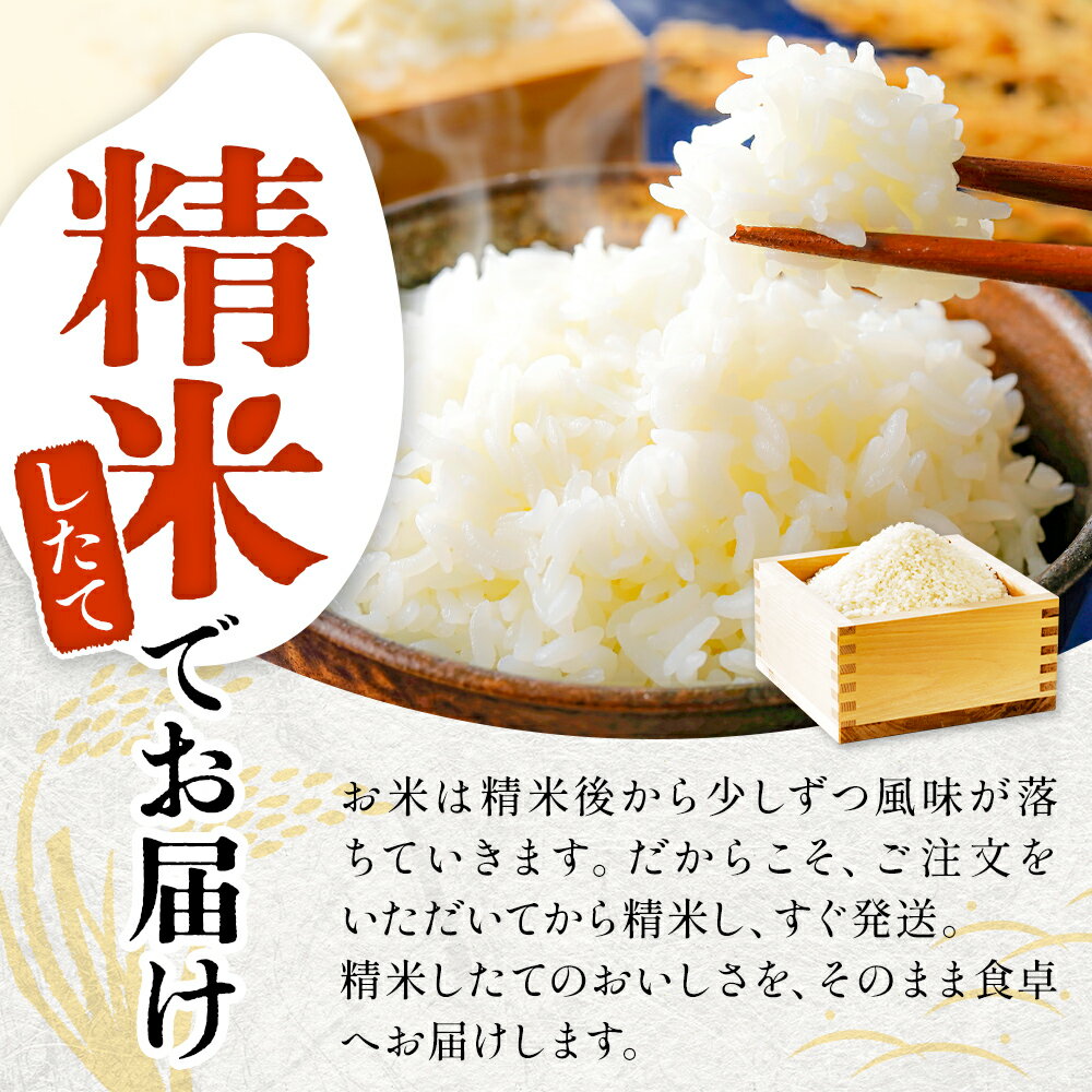 【ふるさと納税】令和7年産 富山県産コシヒカリ 白米 5-10kg 豊穣米 お米自慢コンクール優秀賞！ - 画像3