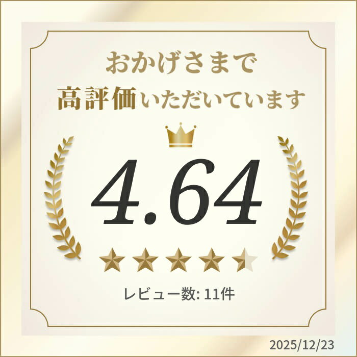 【ふるさと納税】乾燥りんご 25g × 10袋 | 富山県 氷見市 ドライフルーツ 乾物 林檎 保存 スナック お菓子 スイーツ おやつ 果物 くだもの フルーツ 無添加 砂糖不使用 - 画像2