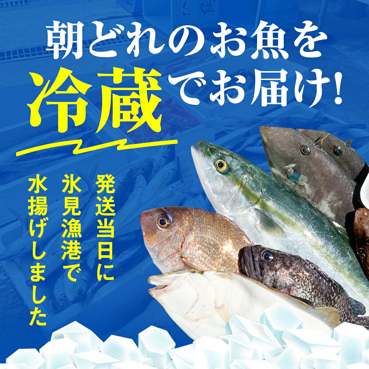 【ふるさと納税】〈朝どれ！氷見直送定期便〉 旬の鮮魚 お刺身セット 6回お届け｜刺身 さしみ お造り 冷蔵 旬 新鮮 魚介 産地直送 富山 盛り合わせ 魚 鮮魚 詰め合わせ 海の幸 朝どれ 地域限定 地魚 柵 小分け 処理済み 簡単調理 切るだけ 小分け 6ヶ月 定期便 醤油 2人 サムネイル3