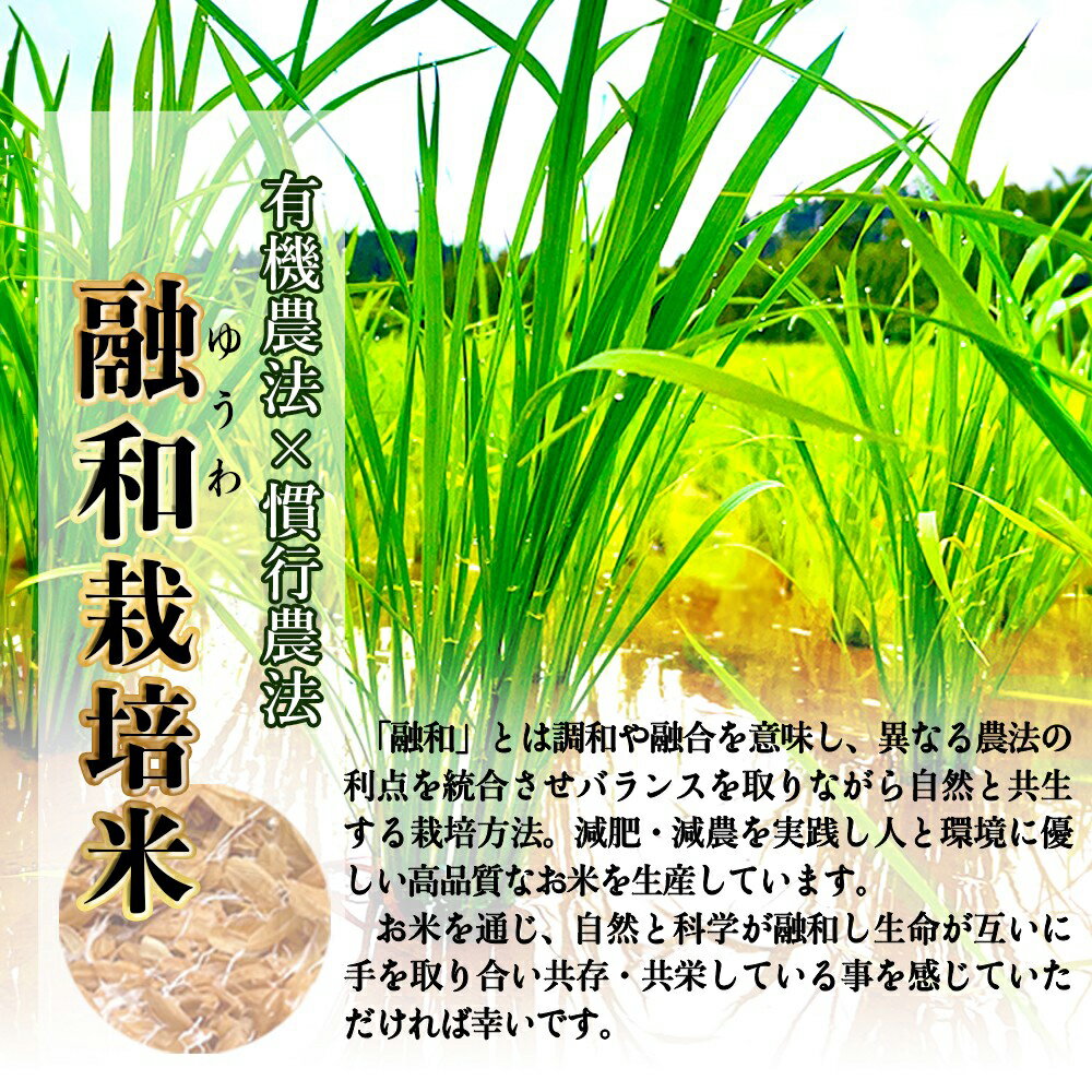 【ふるさと納税】＜3ヶ月定期便＞ 令和7年産 富山県産コシヒカリ 5kg 豊穣米 お米自慢コンクール優秀賞！ 米 コシヒカリ 頒布 定期便 白米 精米 富山県 氷見市 - 画像2