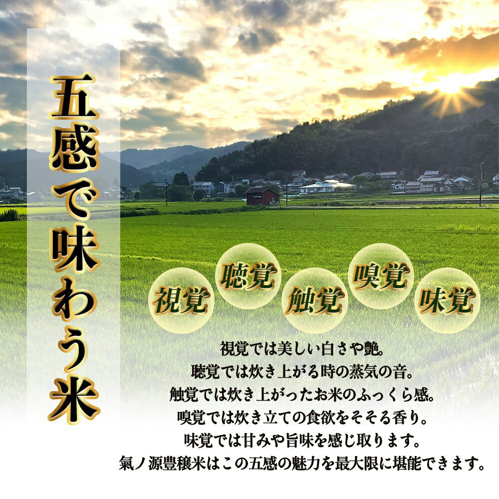 【ふるさと納税】＜3ヶ月定期便＞ 令和7年産 富山県産コシヒカリ 5kg 豊穣米 お米自慢コンクール優秀賞！ 米 コシヒカリ 頒布 定期便 白米 精米 富山県 氷見市 - 画像3