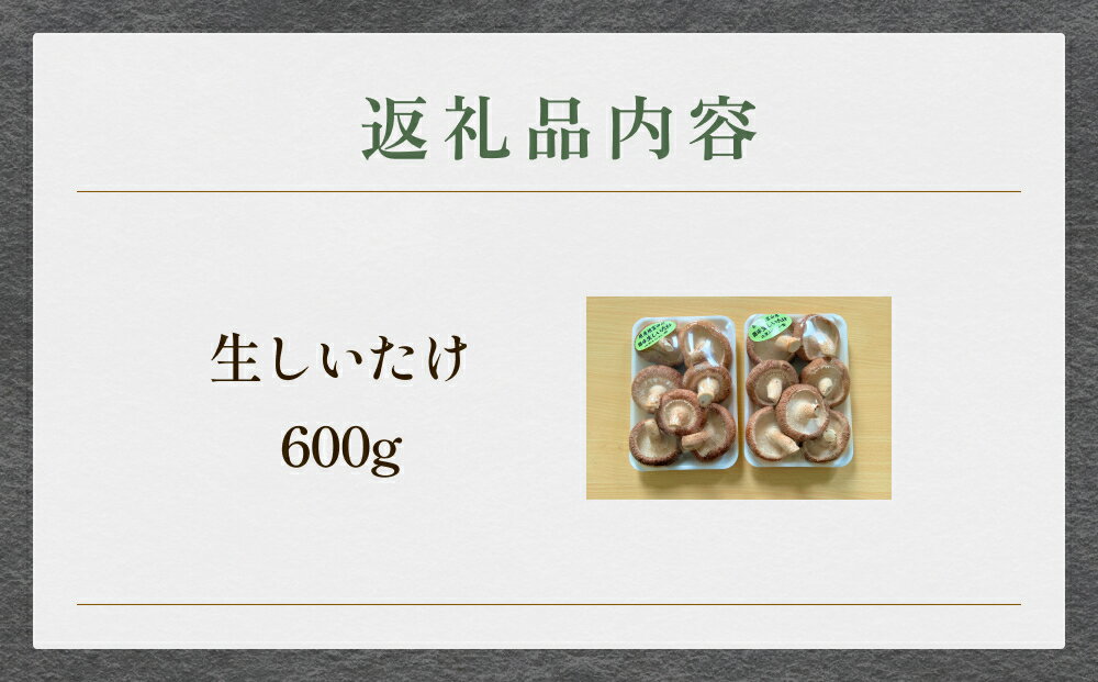 【ふるさと納税】生しいたけ 約600g 富山県 氷見市 シイタケ 椎茸 国産 生 - 画像3