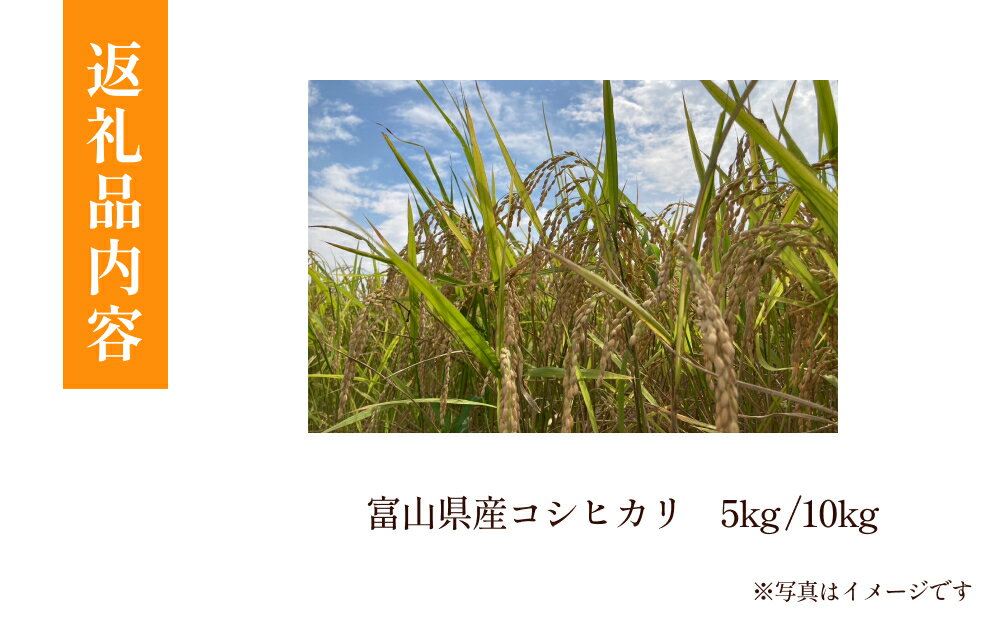 【ふるさと納税】令和7年産 富山県産 コシヒカリ 5-10kg | 富山県 氷見市 こしひかり 米 R7 白米 予約 精米 - 画像3