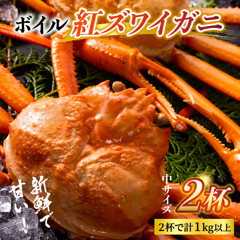 【ふるさと納税】【順次配送中】ボイル紅ズワイガニ【25年度9月下旬以降順次配送】/ 訳ありずわいがに 紅ずわいがに ズワイガニ カニ 冷蔵 冷蔵配送 チルド高志の紅ガニ 北陸 ブランド蟹 ずわいがに 【能登半島地震復興支援】 ゆで蟹 焼きがに ギフト 送料無料 富山県 国産 サムネイル2