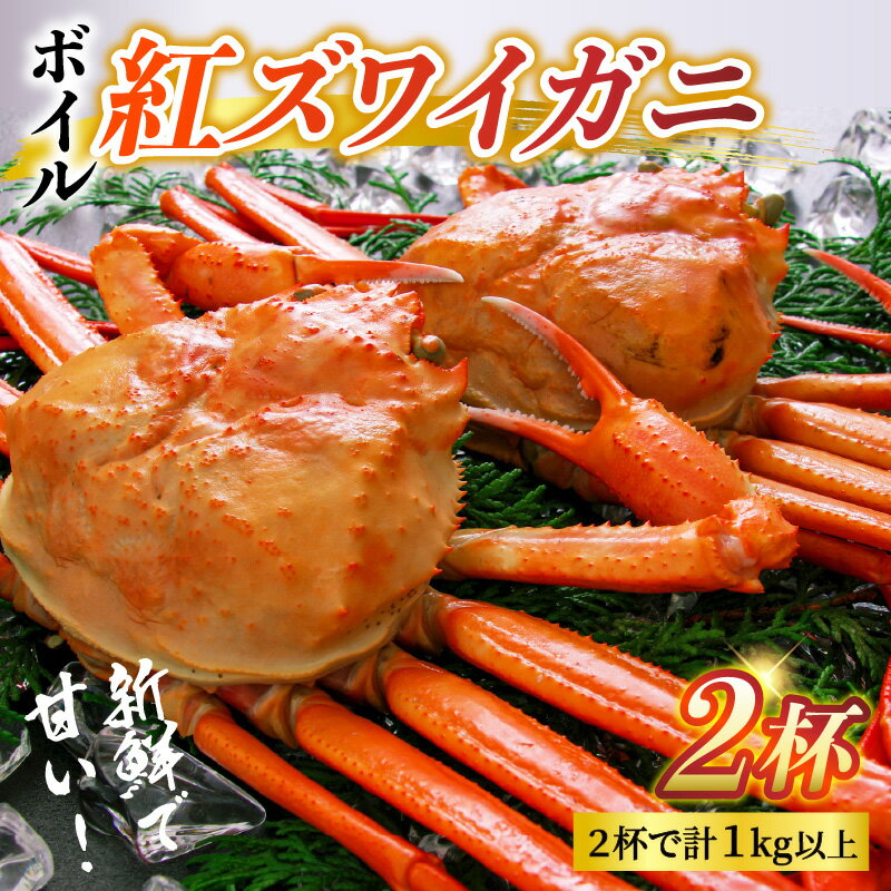 【ふるさと納税】【先行予約】ボイル紅ズワイガニ【25年度9月下旬以降順次配送】 / 訳あり ずわいがに 紅ずわいがに ズワイガニ カニ 冷蔵 冷蔵配送 チルド ブランド蟹 高志の紅ガニ 北陸 【能登半島地震復興支援】 ゆで蟹 焼きがに ギフト 送料無料 富山県 滑川市 国産 サムネイル2