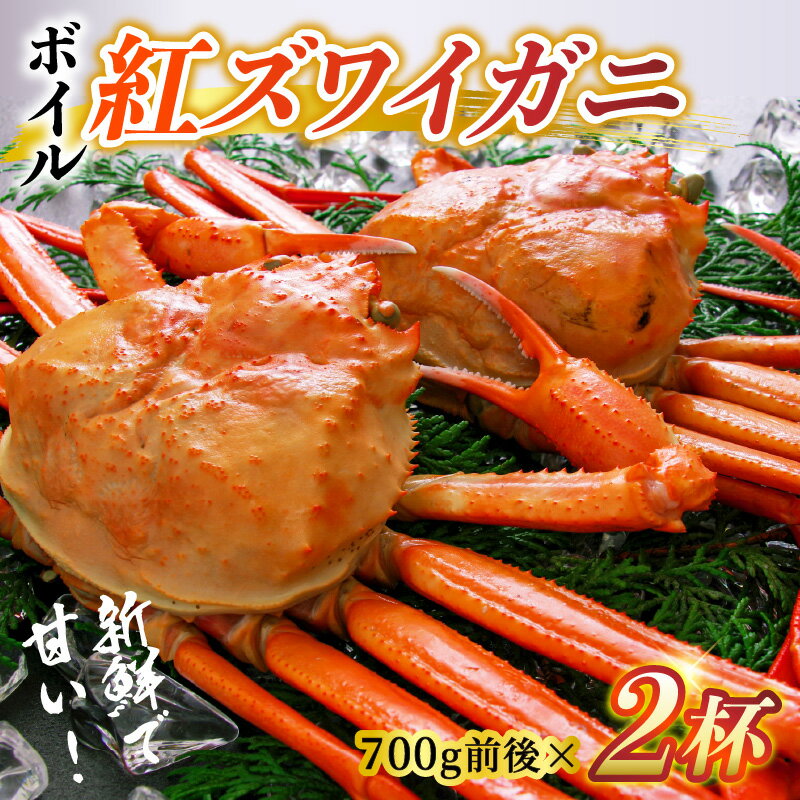 【ふるさと納税】【順次配送中】ボイル紅ズワイガニ 大サイズ【25年度9月下旬以降順次配送】 / 訳ありずわいがに 紅ずわいがに ズワイガニ カニ 冷蔵 冷蔵配送 チルド 北陸 ブランド蟹 お歳暮 お年賀 プレゼント ゆで蟹 焼きがに ギフト 送料無料 お取り寄せグルメ 国産 - 画像2