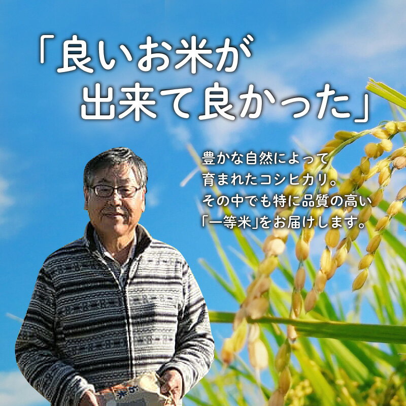 【ふるさと納税】滑川産コシヒカリ（精米20kg） / 一等米 産地直送 袋 かわいい こしひかり おにぎり お米 白米 国産 ご飯 ごはん 富山県 滑川市 - 画像3