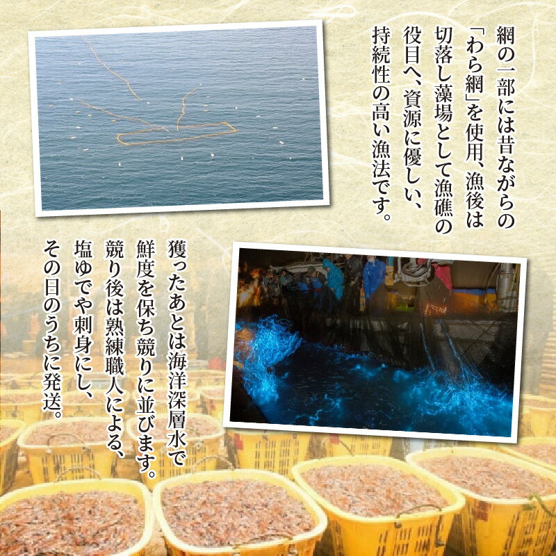 【ふるさと納税】【先行予約】【レビューキャンペーン実施中】ボイルほたるいか 選べるボイルのみ /ボイル&刺身 容量2人前 /4人前 カネツル砂子商店 ※26年3月中旬以降順次発送【能登半島地震復興支援】/ 冷蔵 茹で ホタルイカ 富山 滑川市 サムネイル3