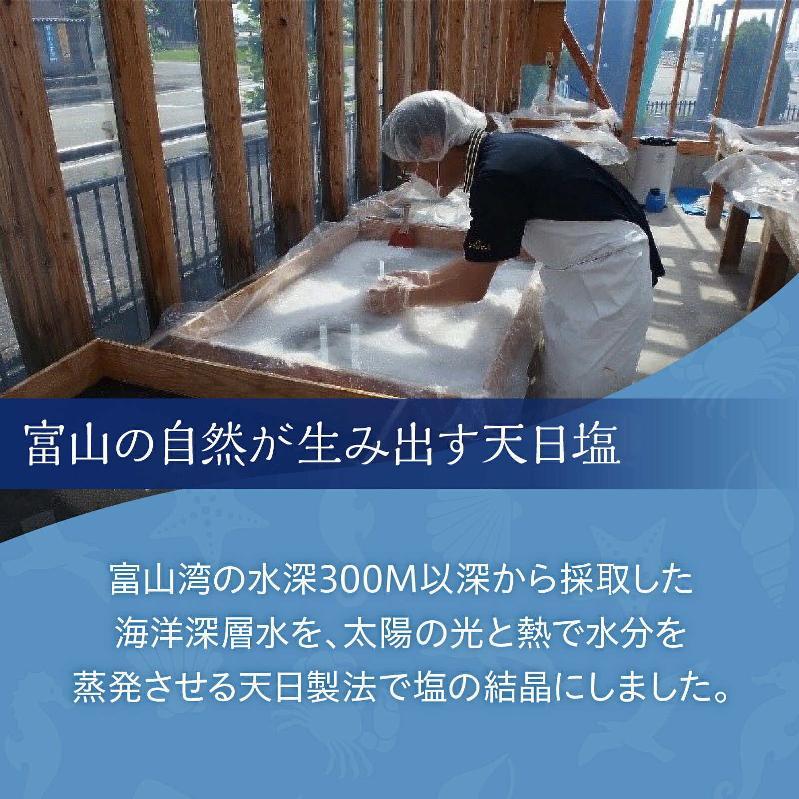 【ふるさと納税】富山の塩 3点セット | しお 調味料 大粒 天日 サムネイル2