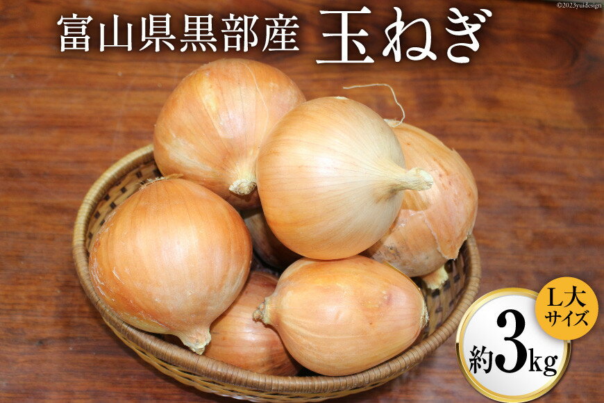 【ふるさと納税】玉ねぎ 1箱 約3kg（L大サイズ）/くろべの太陽/富山県 黒部市 野菜 たまねぎ タマネギ 　お届け：2023年7月上旬より順次出荷となります。※寄附申込がお盆・連休前後の場合や寄附申込が集中した場合は、お届けまでお待たせすることがございます。 - 画像2