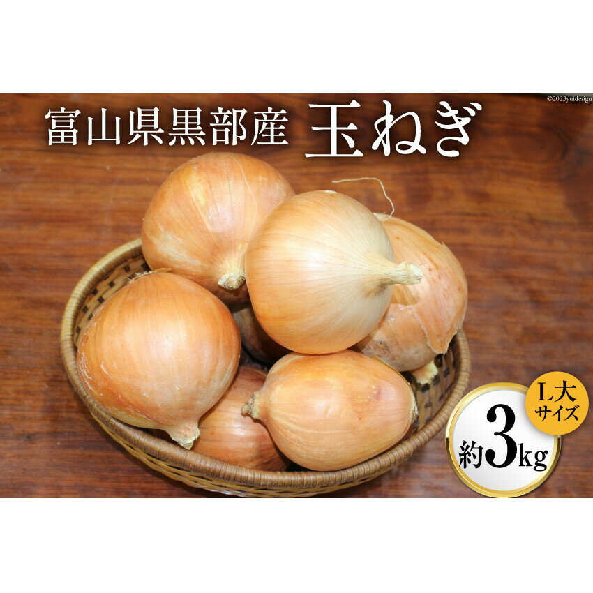 玉ねぎ 1箱 約3kg（L大サイズ）/くろべの太陽/富山県 黒部市 野菜 たまねぎ タマネギ 　お届け：2023年7月上旬より順次出荷となります。※寄附申込がお盆・連休前後の場合や寄附申込が集中した場合は、お届けまでお待たせすることがございます。