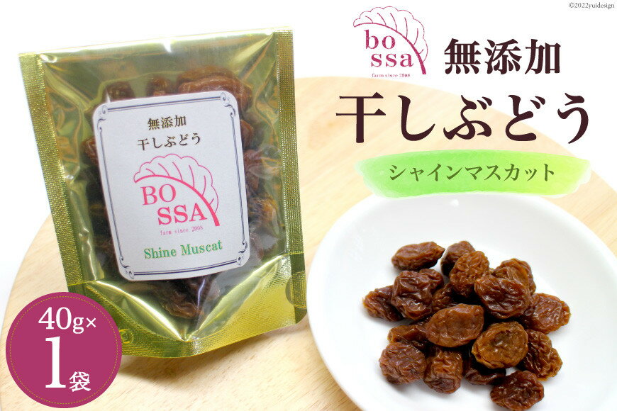 【ふるさと納税】無添加 干しぶどう シャインマスカット 40g×1袋 期間限定 国産 レーズン ドライフルーツ 砂糖不使用 ブドウ 葡萄 加工食品 お菓子 スイーツ おやつ 　お届け：2025年11月以降順次発送 サムネイル2