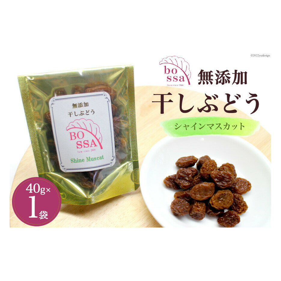 無添加 干しぶどう シャインマスカット 40g×1袋 期間限定 国産 レーズン ドライフルーツ 砂糖不使用 ブドウ 葡萄 加工食品 お菓子 スイーツ おやつ 　お届け：2025年11月以降順次発送