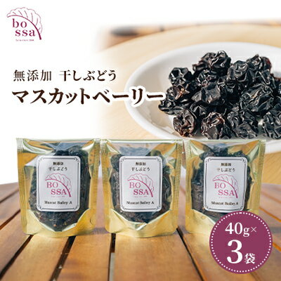 無添加 干しぶどう ボッサの干しぶどう 40g×3袋 マスカットベーリーA（種あり）国産 レーズン ドライフルーツ 砂糖不使用/富山県黒部市 果物加工品 フルーツ加工品 甘さ控えめ おつまみ ポリフェノール 　お届け：2025年11月以降順次発送