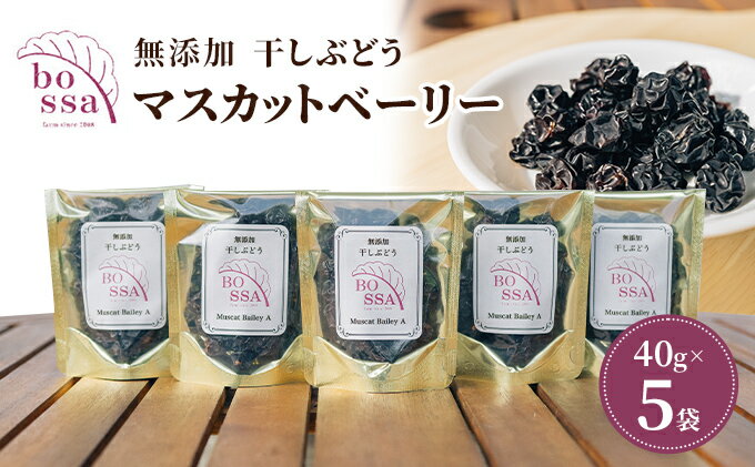 【ふるさと納税】無添加 干しぶどう ボッサの干しぶどう 40g×5袋 マスカットベーリーA（種あり）国産 レーズン ドライフルーツ 砂糖不使用/富山県黒部市 果物加工品 フルーツ加工品 甘さ控えめ おつまみ ポリフェノール 　お届け：2025年11月以降順次発送 サムネイル2