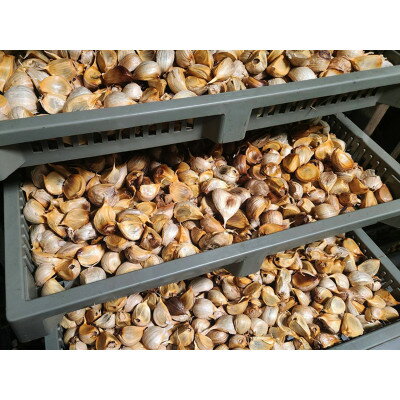 【ふるさと納税】富山県産プレミアム熟成黒にんにく150g×3袋(砺波市)【1669212】 - 画像3