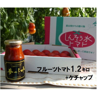 フルーツトマト(深層水トマト)1.2キロとトマトケチャップ(300ml×1本)【濃厚な甘みと旨味】【配送不可地域：離島】【1287336】