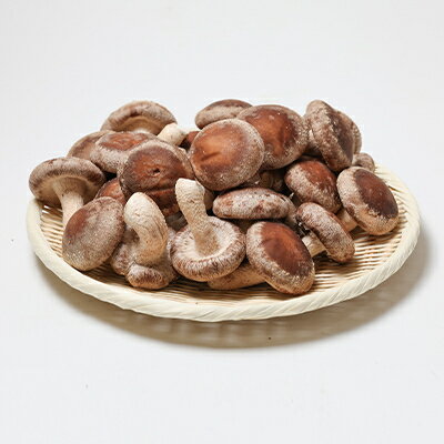 【ふるさと納税】生椎茸約1キログラム箱入り【配送不可地域：離島】【1288310】 - 画像2