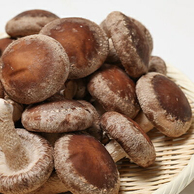 【ふるさと納税】生椎茸約1キログラム箱入り【配送不可地域：離島】【1288310】 - 画像3