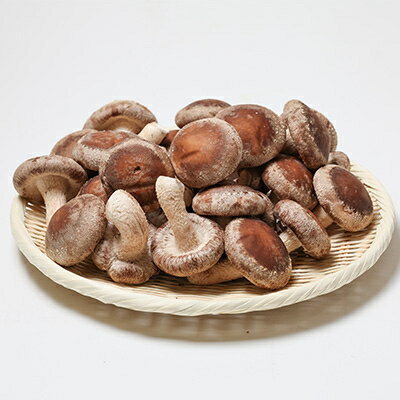 【ふるさと納税】生しいたけ(パック)30P箱入り【配送不可地域：離島】【1288314】 - 画像3