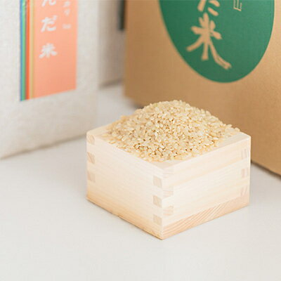 【ふるさと納税】鮮度の米　かんだ米『コシヒカリ』玄米　真空パック　1kg×5袋【1288468】 - 画像3