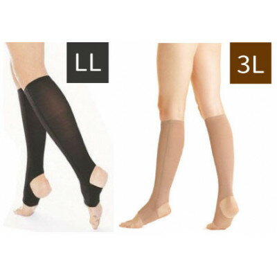 キュッとひきしめレッグシェイパー2枚セット(黒・LLサイズ、ベージュ・3Lサイズ)【1289638】