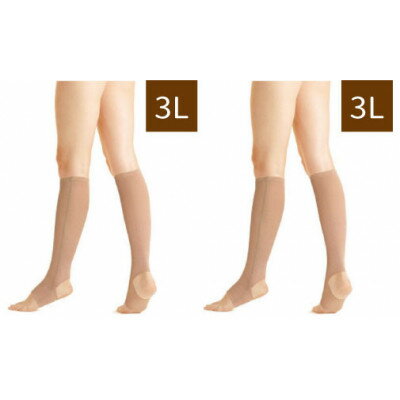 キュッとひきしめレッグシェイパー2枚セット(ベージュ・3Lサイズ×2枚)【1289678】