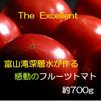 お試しサイズ!フルーツトマト「深層水トマト」約700g【濃厚な甘みと旨み】【1650498】