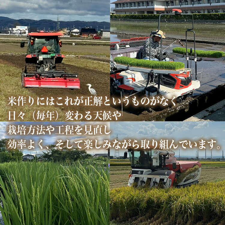 【ふるさと納税】【射水市】【射水の美味しいお米】百姓一家のコシヒカリ 5kg【精米】｜お米 米 こめ コメ こしひかり コシヒカリ 令和7年産米 ブランド米 銘柄米 5kg 5キロ 白米 新米 富山県産 射水市産 北陸 人気 ランキング おすすめ ※離島への配送不可 - 画像2