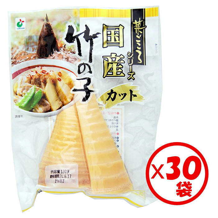 「菜ごころ 国産竹の子カット 120g」×30袋 ※離島への配送不可
