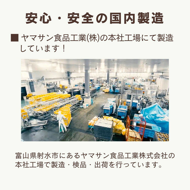 【ふるさと納税】「菜ごころ 国産竹の子スライス 100g」×20袋 ※離島への配送不可 - 画像3