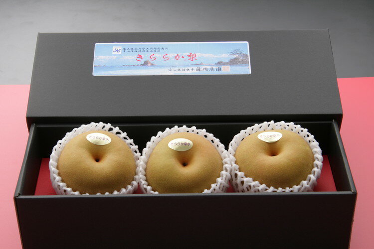 【ふるさと納税】冬に味わう！藤岡さんが作った氷温保存きららか梨 3玉入り ｜ 梨 ナシ 果物 フルーツ　※2025年11月下旬～2026年4月上旬頃に順次発送予定　※離島への配送不可 サムネイル2