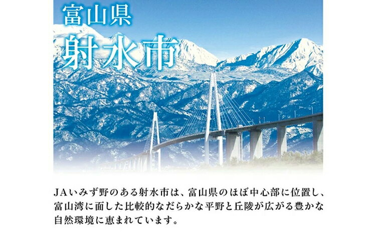 【ふるさと納税】【R7年度産米】越中いみず野米一番 10kg（コシヒカリ）｜米 こめ コメ こしひかり 令和7年産米 ブランド米 銘柄米 新米 等級検査 1等米 10キロ 送風乾燥 色彩選別 低温貯蔵 白米 富山県産 射水市産 ※2025年9月中旬～2026年8月下旬頃に順次発送予定 - 画像2