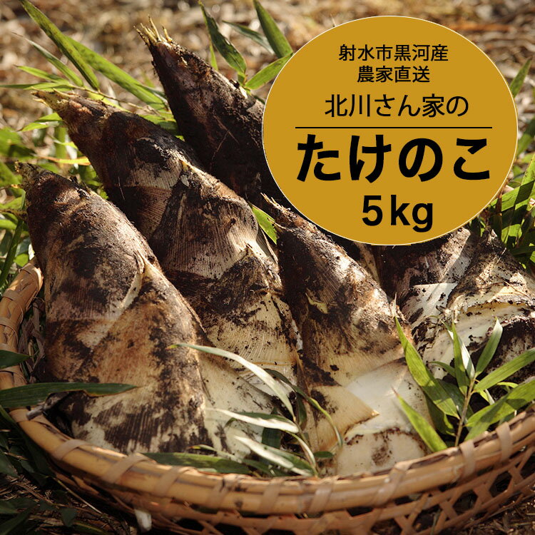 【射水市】【射水のおいしい食品】射水市黒河産 農家直送 北川さん家の たけのこ 5kg ※2026年4月下旬頃～5月中旬頃に順次発送予定 ※離島への配送不可