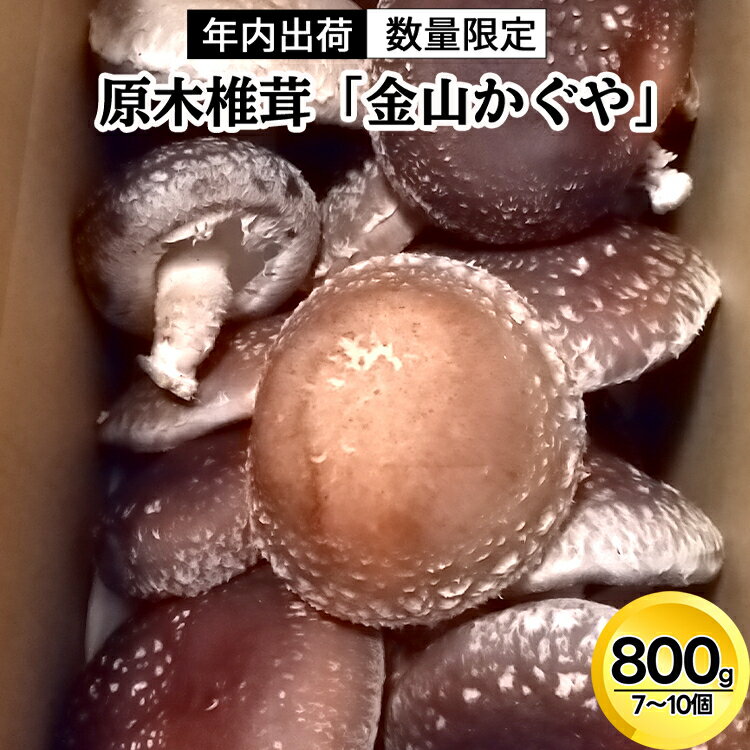 【年内出荷】数量限定 原木椎茸「金山かぐや」射水市金山産 /おせち材料 正月 料理 きのこ 野菜 山菜/富山県射水市　 しいたけ 肉厚どんこ 金山かぐや おつまみ お酒のお供 ※2025年12月中旬～2026年4月下旬頃に順次発送予定