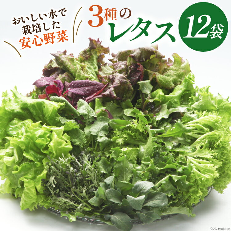 富山のおいしい水で生産した安心野菜（12袋）[北陸機材 富山県 舟橋村 57050150] 野菜 野菜セット フラワーリーフ フリルレタス マルチレタス 水耕栽培