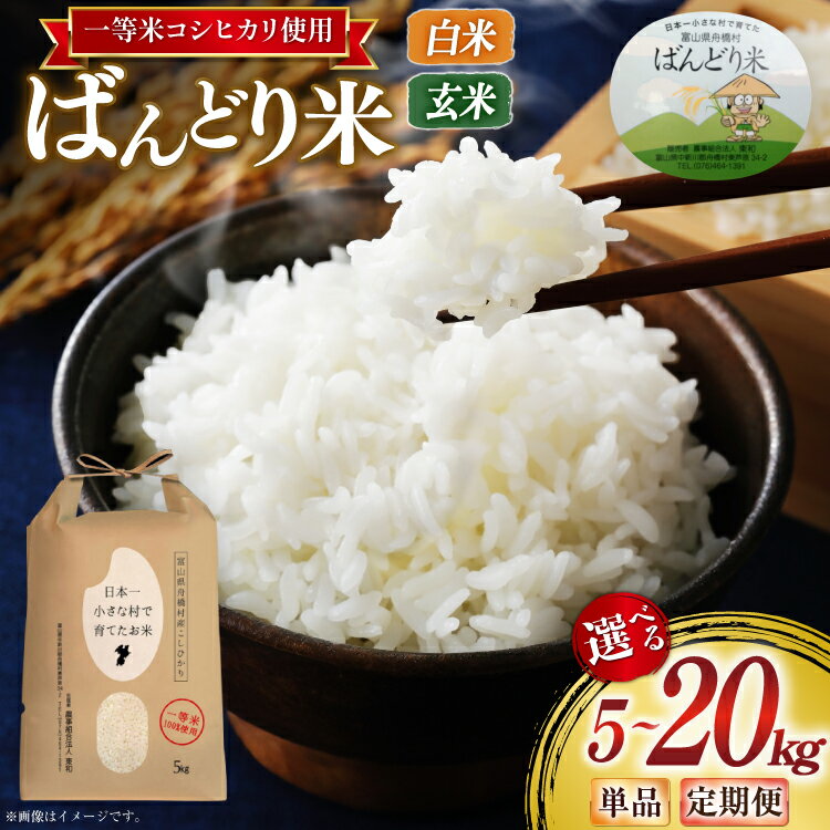 【期間限定発送】 米 コシヒカリ ばんどり米 選べる定期便・発送回数・容量 （ 5kg 10kg 20kg / 1回 3回 6回 ）[農事組合法人東和 富山県 舟橋村 57050206] こめ コメ お米 白米 玄米 精米 おこめ 定期 5キロ 10キロ 20キロ こしひかり