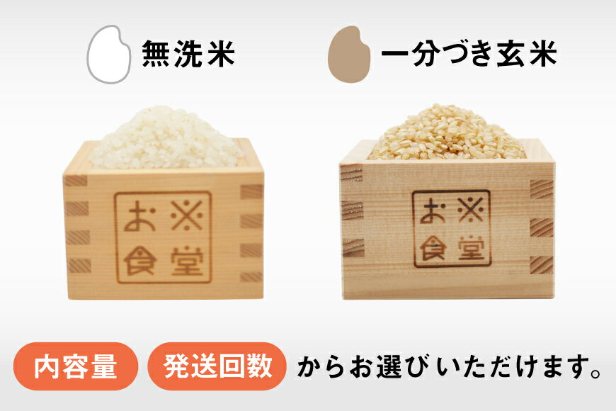 【ふるさと納税】 米 コシヒカリ 【選べる内容量 種類 発送回数】 [お米食堂 富山県 舟橋村 57050223] お米 米 こめ コメ 玄米 一分づき 無洗米 白米 精米 ごはん 備蓄 長期保存 富山県産 定期便 1回 3回 300g 900g 2kg 3kg 30kg 36kg - 画像2
