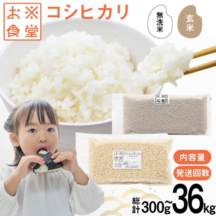 米 コシヒカリ 【選べる内容量 種類 発送回数】 [お米食堂 富山県 舟橋村 57050223] お米 米 こめ コメ 玄米 一分づき 無洗米 白米 精米 ごはん 備蓄 長期保存 富山県産 定期便 1回 3回 300g 900g 2kg 3kg 30kg 36kg