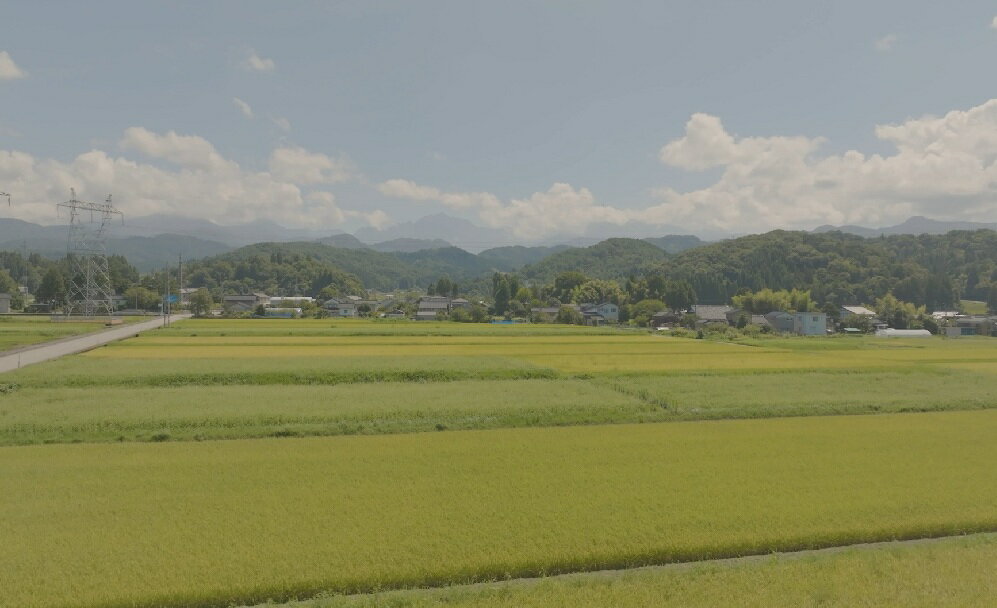 【ふるさと納税】【令和7年産】上市町産コシヒカリ「剱米」（白米）2kg　 [ソムリエH 富山県 上市町 32280236-r6-01] 　お米 コメ ご飯 ごはん こしひかり 富山県産 - 画像2